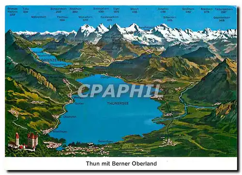 Cartes postales moderne Thun mit Berner Oberland