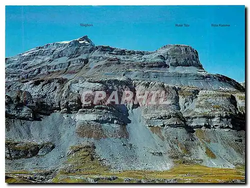 Cartes postales moderne Steghorn Roter Totz Rote Kumme