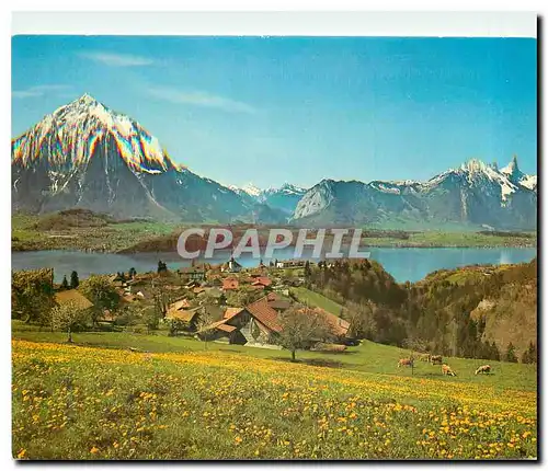 Cartes postales moderne Sigriswil uber dem Thunersee Berner Oberland
