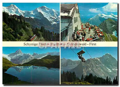 Cartes postales moderne Schynige Platte Faulhorn Grindelwald First