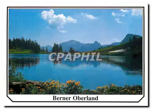 Moderne Karte Berner Oberland