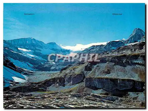 Cartes postales moderne Schnehornn Wildstrubel