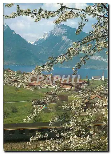 Cartes postales moderne Spiez am Thunersee