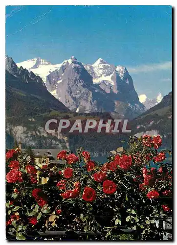 Cartes postales moderne Reuti Hasliberg Berner Oberland Wetterhorngruppe