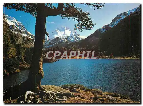 Cartes postales moderne Cavloce See mit Piz dei Rossi