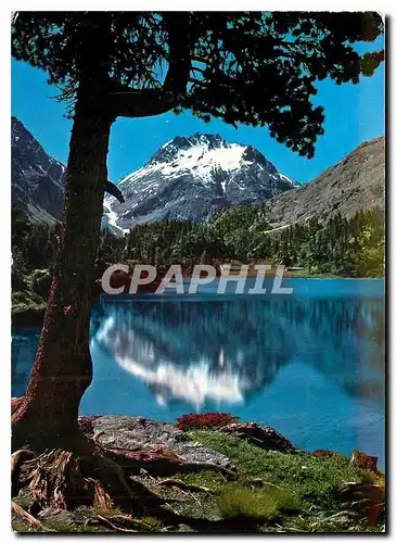 Cartes postales moderne Am Cavloccio See bei Maloja