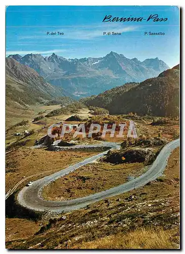 Cartes postales moderne Bernina Pass P del Teo P di Sena P Sassalbo