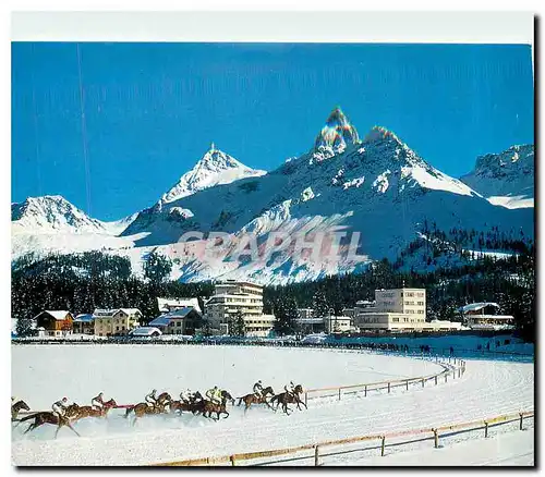 Cartes postales moderne Arosa Winterpferderennen auf dem Obersee