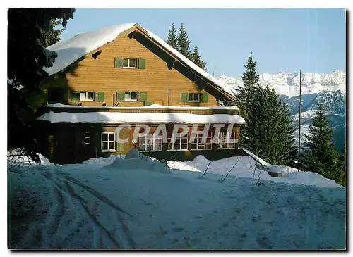 Cartes postales moderne Naturfreundehaus Brambruesch