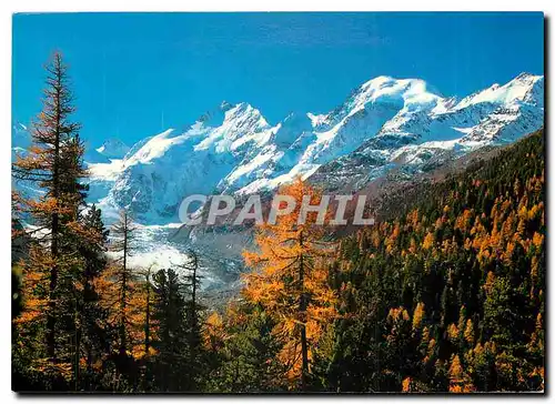 Cartes postales moderne Piz Bernina Biancograt und Piz Morteratsch