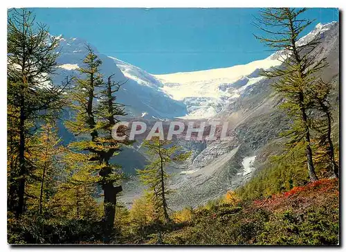 Moderne Karte Alp Grum Blick gegen Piz Varuna Palugletscher Piz Palu