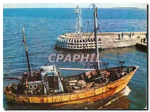 Cartes postales moderne Darlorko Wejseue do portu