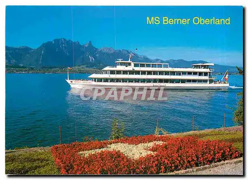 Cartes postales moderne Thunersee MS Berner Oberland
