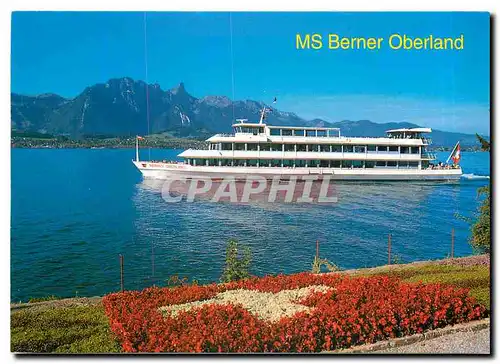 Moderne Karte Thunersee MS Berner Oberland