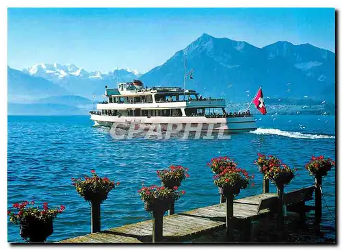 Cartes postales moderne Am Thunersee Blumlisalp und Niesen