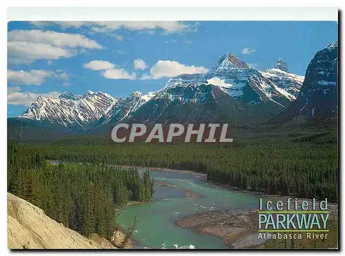 Cartes postales moderne Icefield Parkway Athabasca River