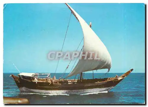 Cartes postales moderne Arab Dhow