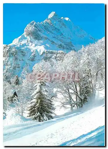 Cartes postales moderne Braunwald Ortstock