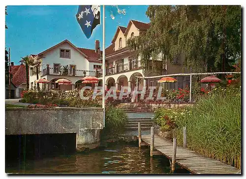 Cartes postales moderne Seehotel Restaurant Hallwil Beinwil am See