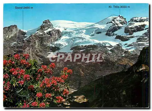 Cartes postales moderne Engelberg Titlismasiv