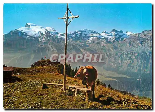 Cartes postales moderne Engelberg Zentralschweiz Motiv mit Brunnihutte