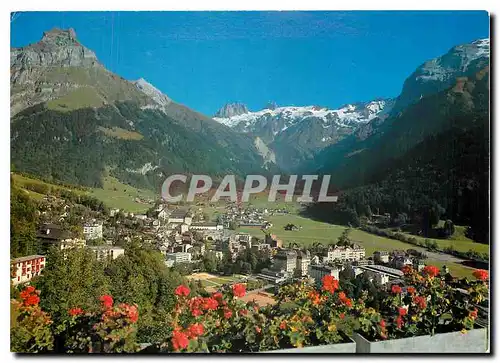 Cartes postales moderne Switzerland Engelberg Hahnen Spannorter
