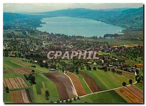 Moderne Karte Hallwilersee Schweiz