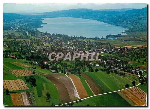 Moderne Karte Hallwilersee Schweiz