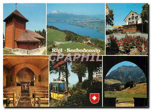 Cartes postales moderne Rigi Seeboderalp