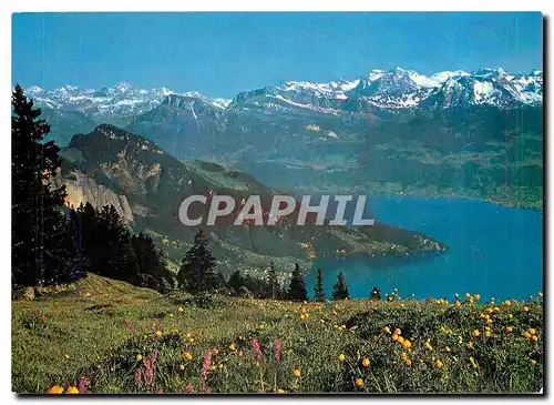 Cartes postales moderne Rigi Aussicht auf Vierwaltstattersee