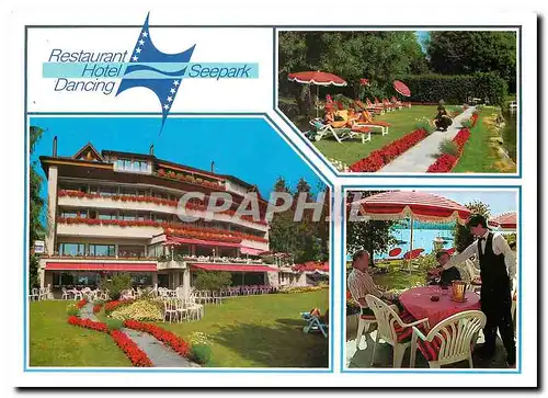 Cartes postales moderne Restaurant Hotel Seepark Dancing