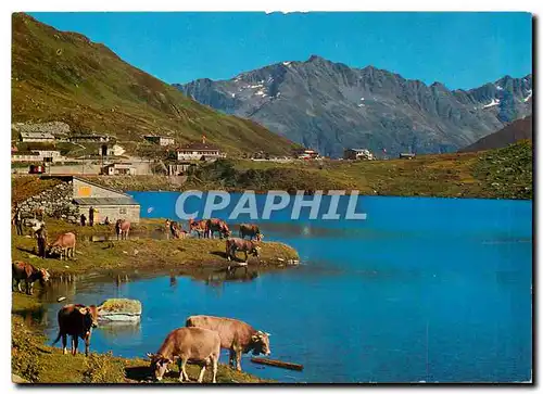 Cartes postales moderne Oberalp Passhole