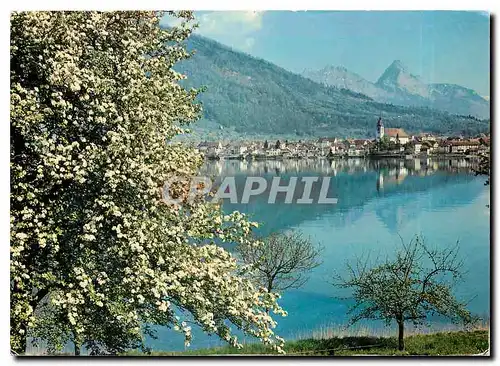 Cartes postales moderne Arth am See mit den beiden Mythen