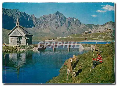 Cartes postales moderne Suisse Vache