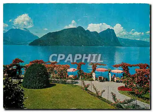 Cartes postales moderne Vitznau am Vierwaldstatter See