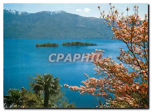 Moderne Karte Isole di Brissago Lago Maggiore