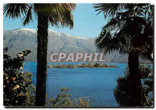 Cartes postales moderne Isole di Brissago Lago Maggiore