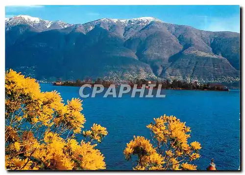 Cartes postales moderne Isole di Brissago Lago Maggiore