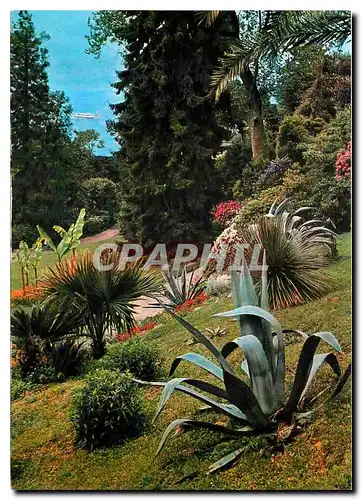 Cartes postales moderne Jardins du Sud