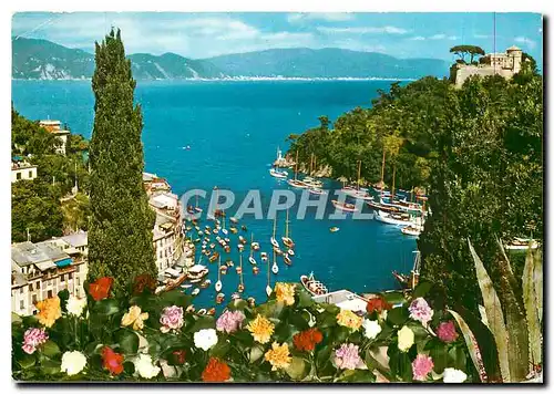 Cartes postales moderne Portofino Le petit Port