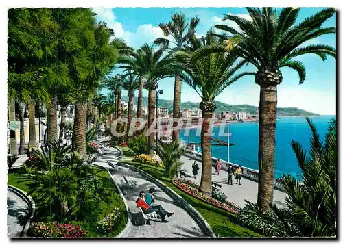 Cartes postales moderne Riviera del Fiori S Remo