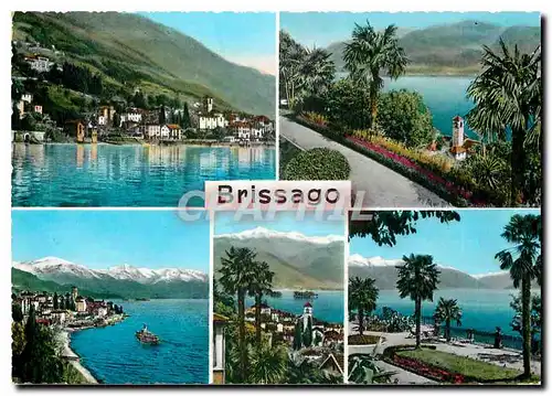 Cartes postales moderne Brissago