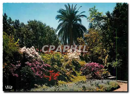 Cartes postales moderne Isole di Brissago Parco Botanico del Ct Ticino