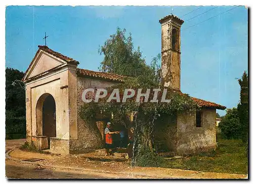 Cartes postales moderne II Ticino pittoresco Caslano