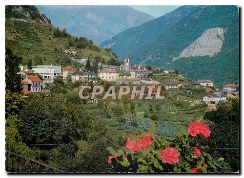 Cartes postales moderne Contra Ti