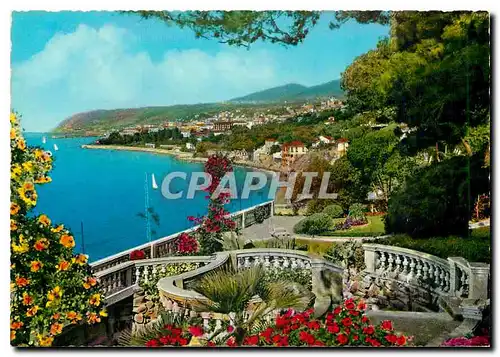 Cartes postales moderne Riviera dei Fiori S Remo Vue panoramique