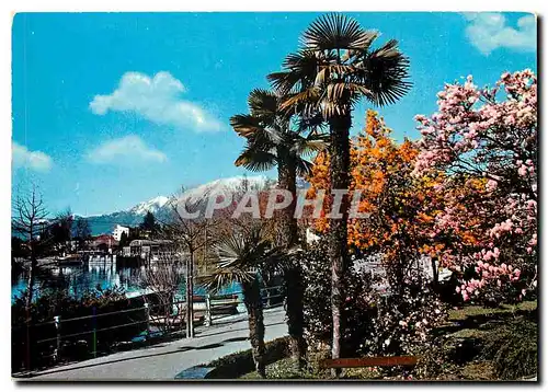 Cartes postales moderne Locarno II lungalago