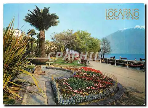 Cartes postales moderne Locarno Muralto Lago Maggiore Monte Tamaro
