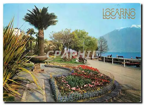 Moderne Karte Locarno Muralto Lago Maggiore Monte Tamaro