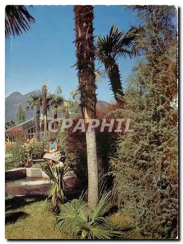 Cartes postales moderne Ferienparadies Motel Losone Bei Ascona